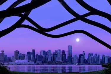 深圳龙岗区借钱空放利息揭秘：揭秘真实利率，助您明智贷款