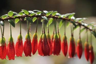 深圳龙岗区私人快速借钱网，轻松解决资金难题