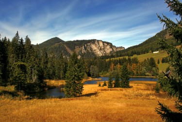 深圳龙岗区民间私贷攻略：揭秘低成本借贷的秘密