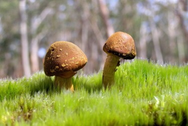 深圳龙岗区私人老板放款：轻松融资的秘密通道